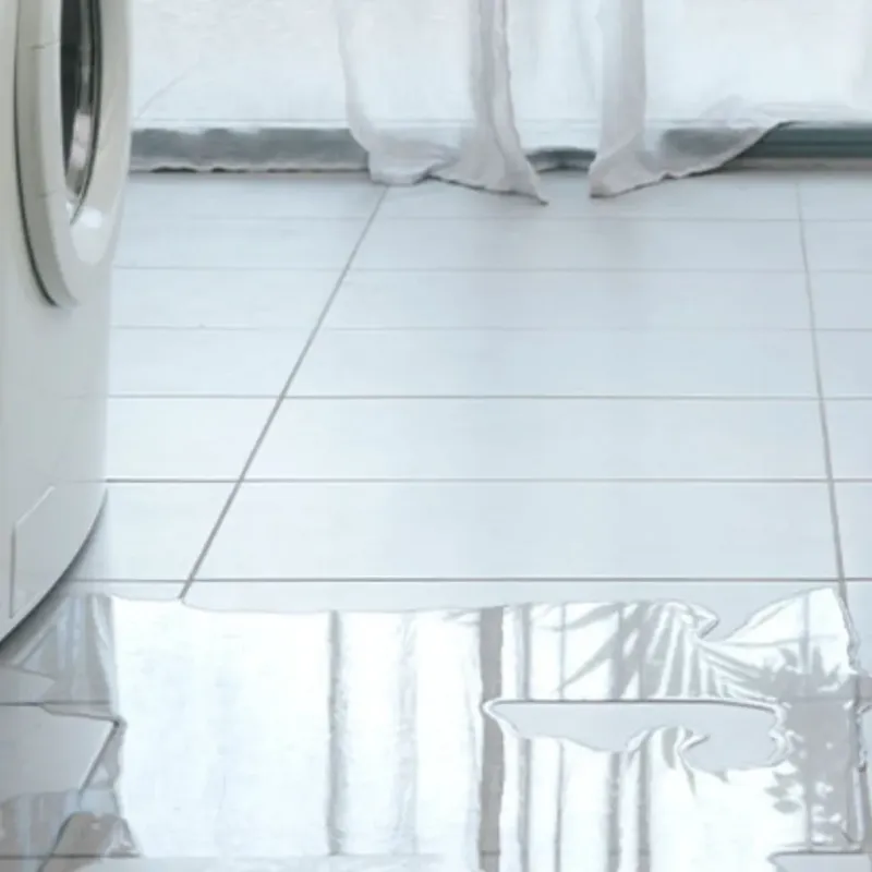 Appliance Leak Cleanup in Des Plaines, IL