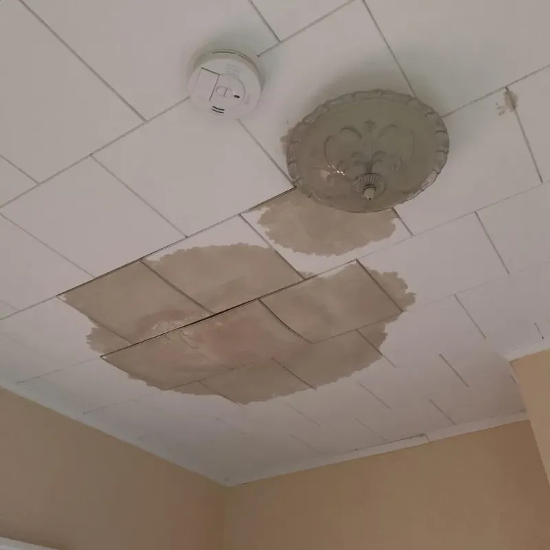 Ceiling Water Damage Repair in Des Plaines, IL