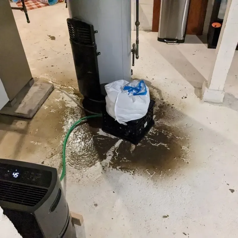 Sewage Backup Cleanup Service in Des Plaines, IL